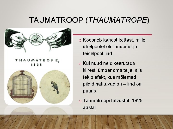TAUMATROOP (THAUMATROPE) o Koosneb kahest kettast, mille ühelpoolel oli linnupuur ja teiselpool lind. o
