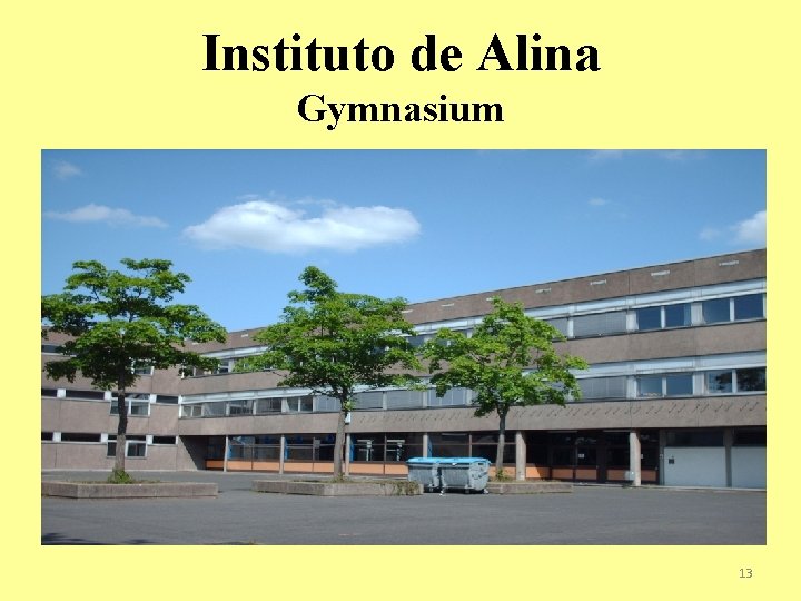 Instituto de Alina Gymnasium 13 