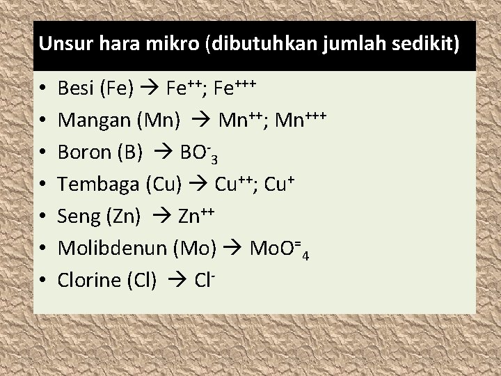 Unsur hara mikro (dibutuhkan jumlah sedikit) • • Besi (Fe) Fe++; Fe+++ Mangan (Mn)