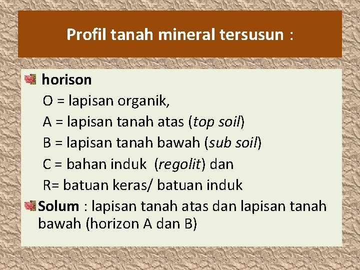 Profil tanah mineral tersusun : horison O = lapisan organik, A = lapisan tanah