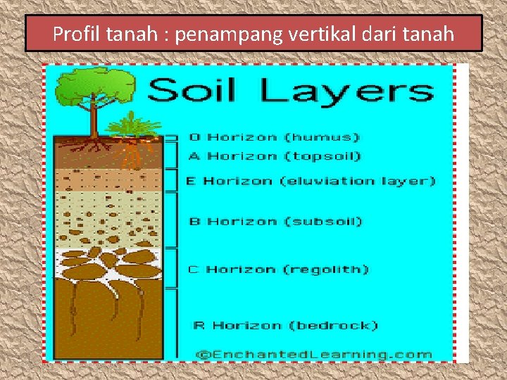 Profil tanah : penampang vertikal dari tanah 