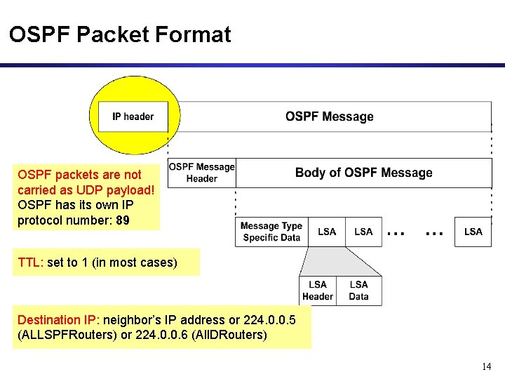 OSPF Packet Format OSPF packets are not carried as UDP payload! OSPF has its