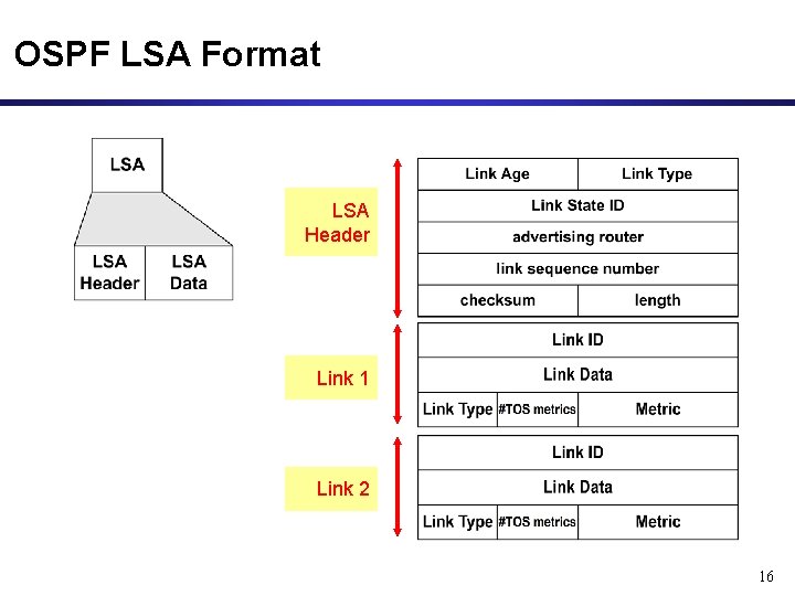 OSPF LSA Format LSA Header Link 1 Link 2 16 