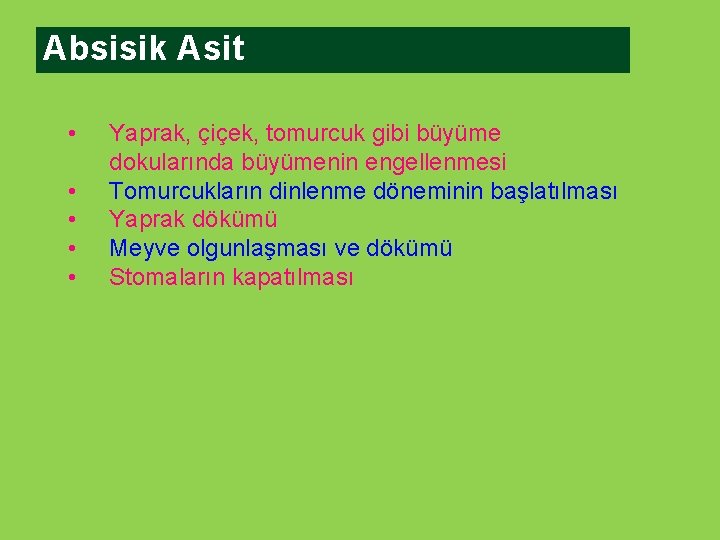 Absisik Asit • • • Yaprak, çiçek, tomurcuk gibi büyüme dokularında büyümenin engellenmesi Tomurcukların