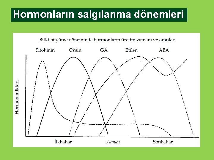 Hormonların salgılanma dönemleri 