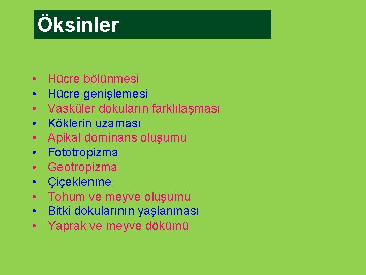 Öksinler • • • Hücre bölünmesi Hücre genişlemesi Vasküler dokuların farklılaşması Köklerin uzaması Apikal