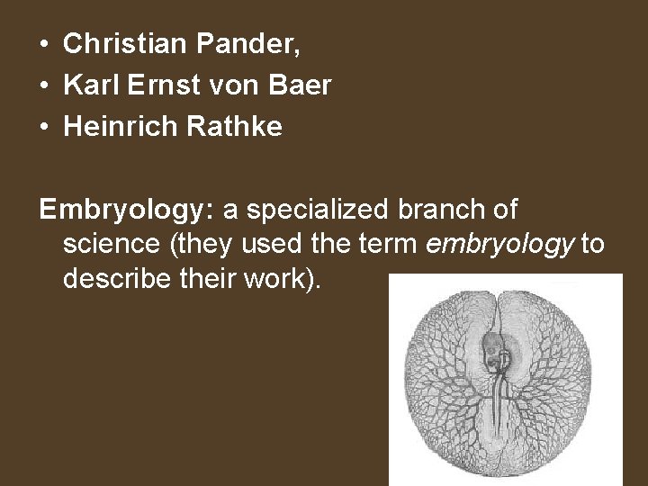  • Christian Pander, • Karl Ernst von Baer • Heinrich Rathke Embryology: a