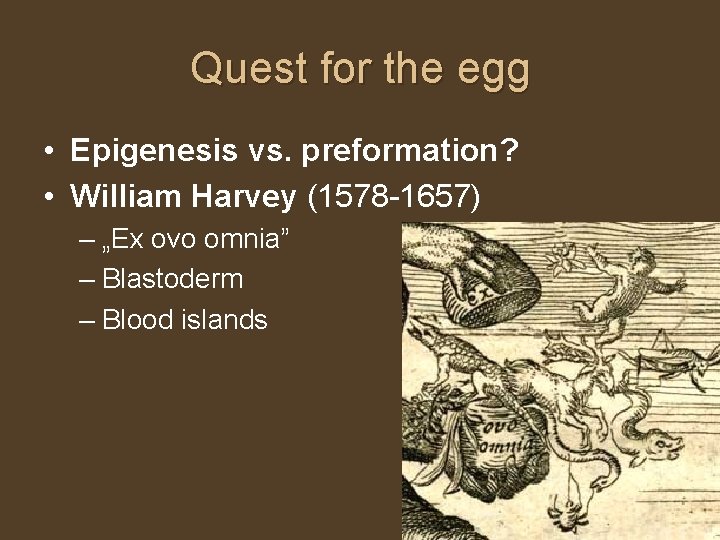 Quest for the egg • Epigenesis vs. preformation? • William Harvey (1578 -1657) –