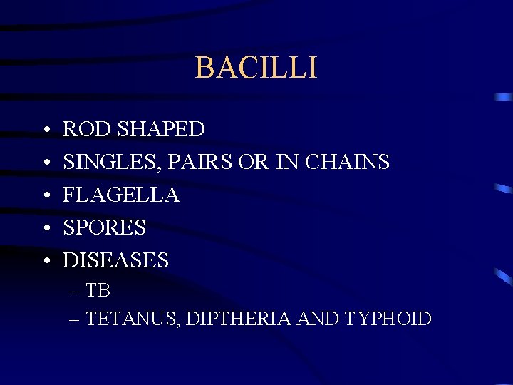 BACILLI • • • ROD SHAPED SINGLES, PAIRS OR IN CHAINS FLAGELLA SPORES DISEASES