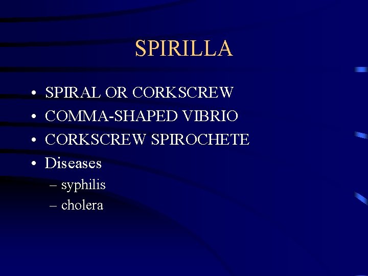 SPIRILLA • • SPIRAL OR CORKSCREW COMMA-SHAPED VIBRIO CORKSCREW SPIROCHETE Diseases – syphilis –