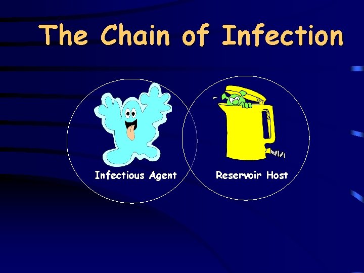 The Chain of Infection Infectious Agent Reservoir Host 