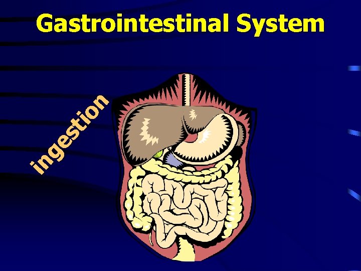 in ge st io n Gastrointestinal System 