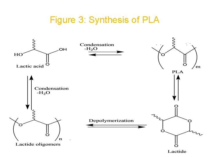 Figure 3: Synthesis of PLA 