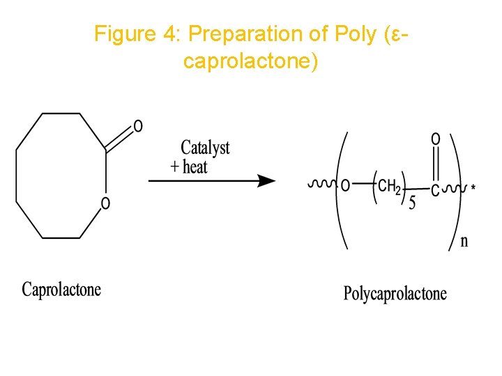 Figure 4: Preparation of Poly (εcaprolactone) 