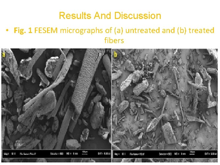Results And Discussion • Fig. 1 FESEM micrographs of (a) untreated and (b) treated