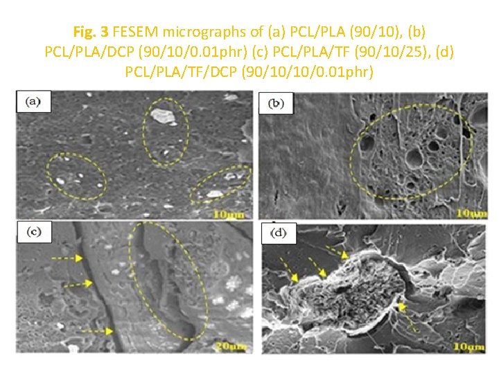 Fig. 3 FESEM micrographs of (a) PCL/PLA (90/10), (b) PCL/PLA/DCP (90/10/0. 01 phr) (c)