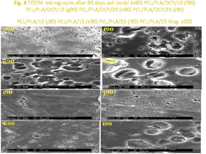 Fig. 6 FESEM micrographs after 90 days soil burial (e 90) PCL/PLA/DCP/10 (f 90)