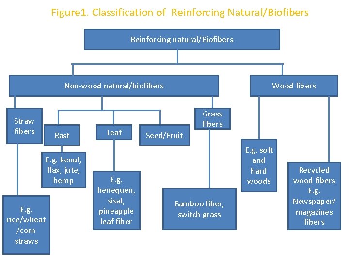 Figure 1. Classification of Reinforcing Natural/Biofibers Reinforcing natural/Biofibers Non-wood natural/biofibers Straw fibers Bast E.