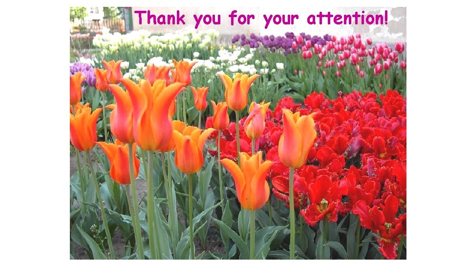 Thank you for your attention! Thank you for your attention!