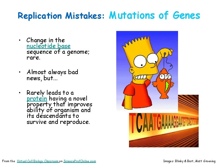 Replication Mistakes: Mutations of Genes • Change in the nucleotide base sequence of a
