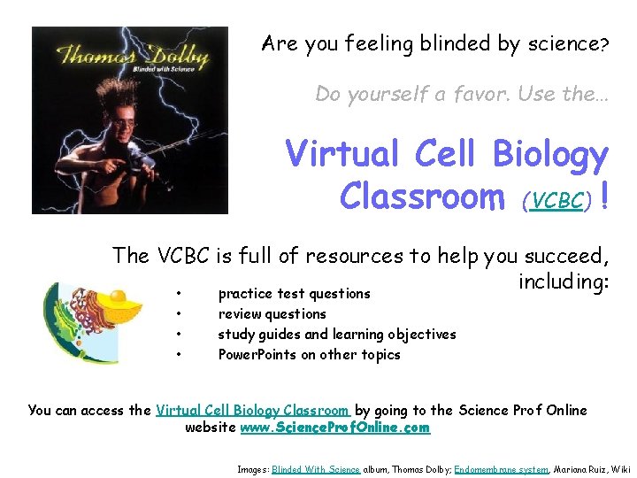 Are you feeling blinded by science? Do yourself a favor. Use the… Virtual Cell