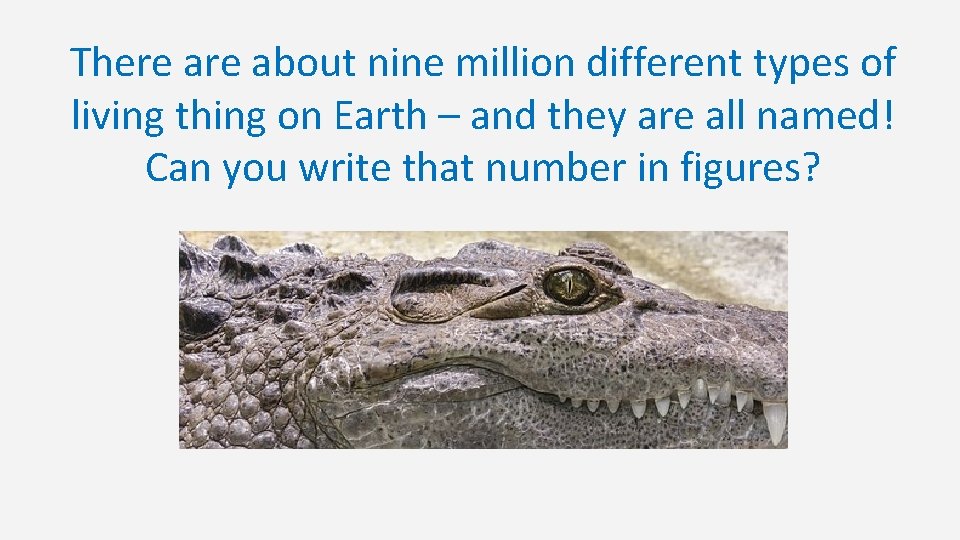 There about nine million different types of living thing on Earth – and they