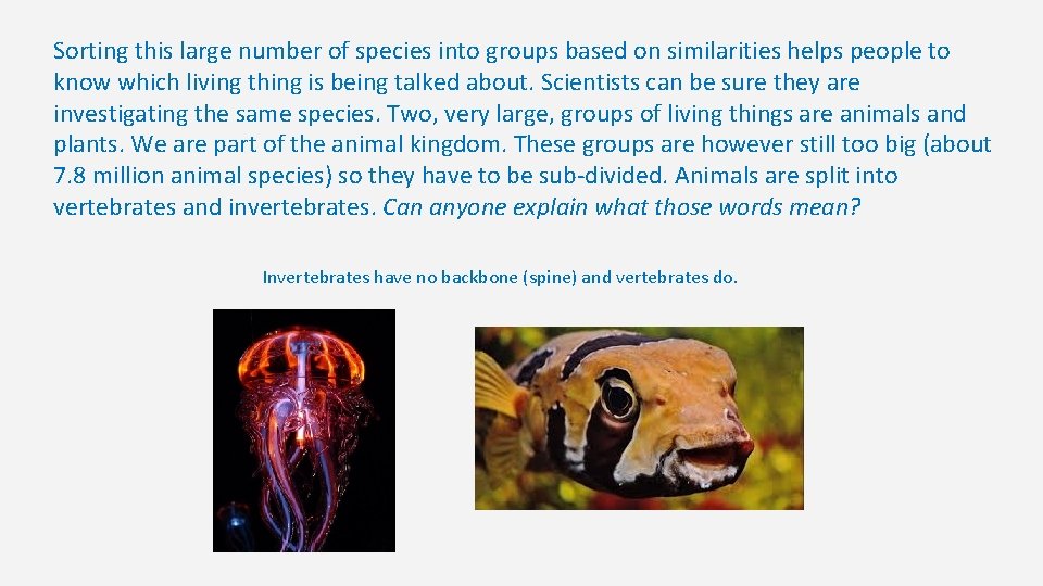 Sorting this large number of species into groups based on similarities helps people to