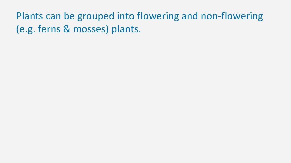 Plants can be grouped into flowering and non-flowering (e. g. ferns & mosses) plants.