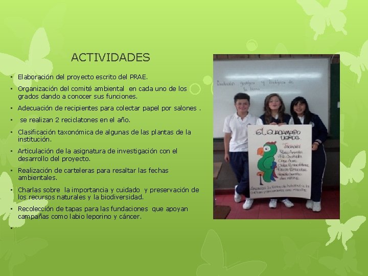 ACTIVIDADES • Elaboración del proyecto escrito del PRAE. • Organización del comité ambiental en