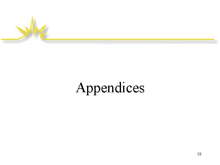 Appendices 19 