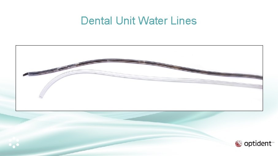 Dental Unit Water Lines 