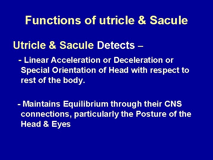 Functions of utricle & Sacule Utricle & Sacule Detects – - Linear Acceleration or