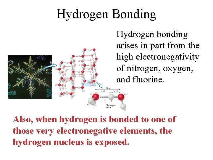 Hydrogen Bonding Hydrogen bonding arises in part from the high electronegativity of nitrogen, oxygen,
