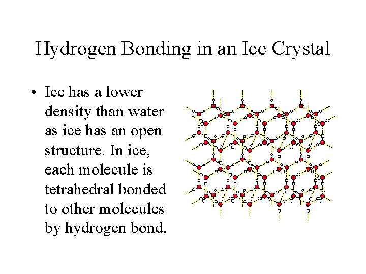 Hydrogen Bonding in an Ice Crystal • Ice has a lower density than water