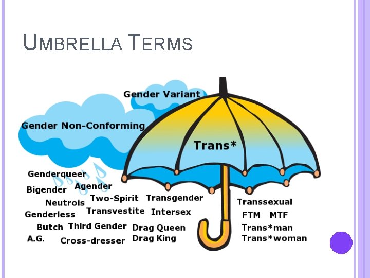 UMBRELLA TERMS 