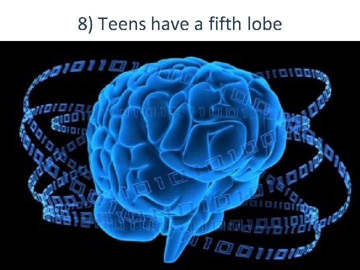 8) Teens have a fifth lobe 