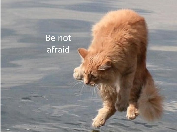 Be not afraid 