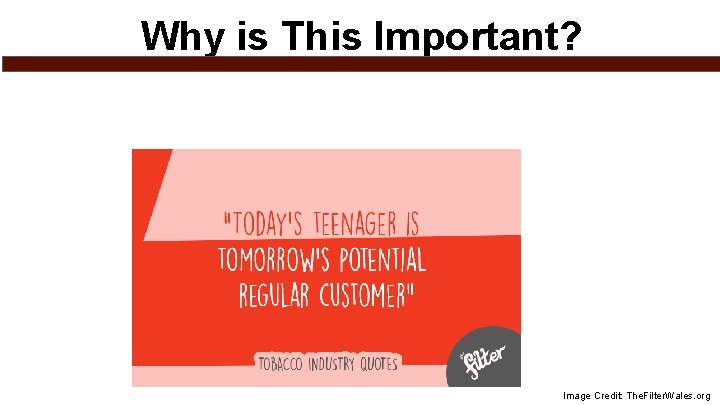 Why is This Important? Image Credit: The. Filter. Wales. org 