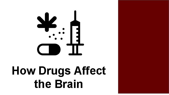 How Drugs Affect the Brain 