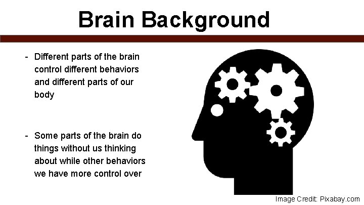 Brain Background - Different parts of the brain control different behaviors and different parts