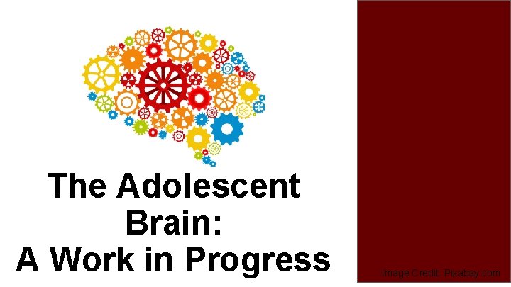 The Adolescent Brain: A Work in Progress Image Credit: Pixabay. com 
