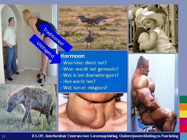 Tr ad U itd iti on e ag el en d Hormoon - Waarvoor