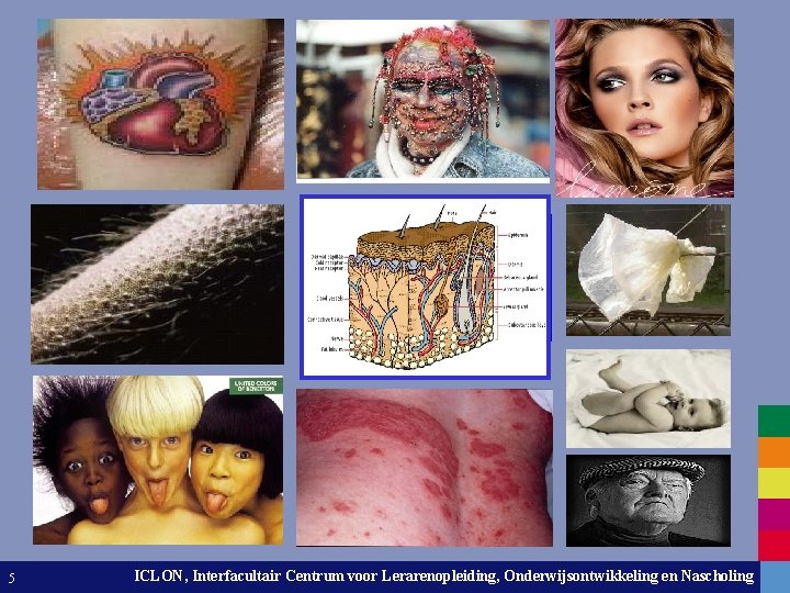 5 ICLON, Interfacultair Centrum voor Lerarenopleiding, Onderwijsontwikkeling Leiden University. The universityento. Nascholing discover. 