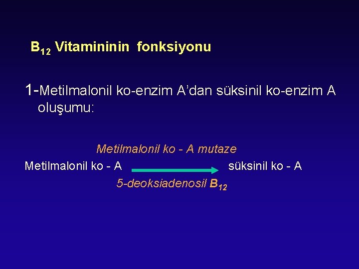 B 12 Vitamininin fonksiyonu 1 -Metilmalonil ko-enzim A’dan süksinil ko-enzim A oluşumu: Metilmalonil ko