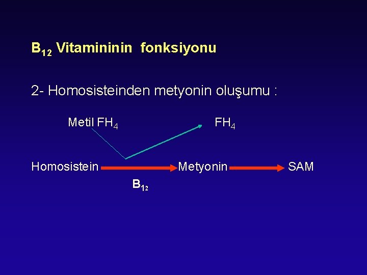 B 12 Vitamininin fonksiyonu 2 - Homosisteinden metyonin oluşumu : Metil FH 4 Homosistein