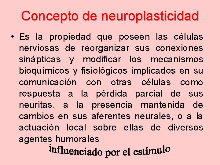 Concepto de neuroplasticidad • Es la propiedad que poseen las células nerviosas de reorganizar