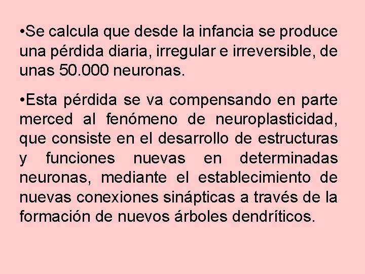  • Se calcula que desde la infancia se produce una pérdida diaria, irregular