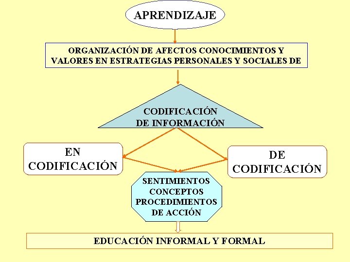 APRENDIZAJE ORGANIZACIÓN DE AFECTOS CONOCIMIENTOS Y VALORES EN ESTRATEGIAS PERSONALES Y SOCIALES DE CODIFICACIÓN