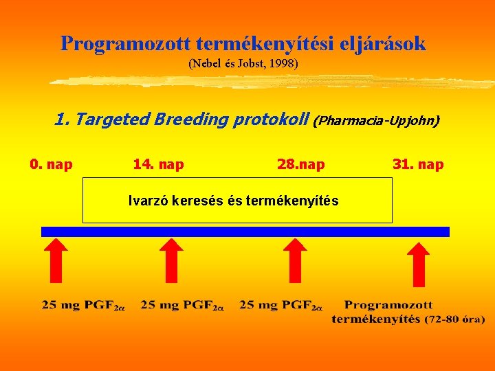 Programozott termékenyítési eljárások (Nebel és Jobst, 1998) 1. Targeted Breeding protokoll (Pharmacia-Upjohn) 0. nap