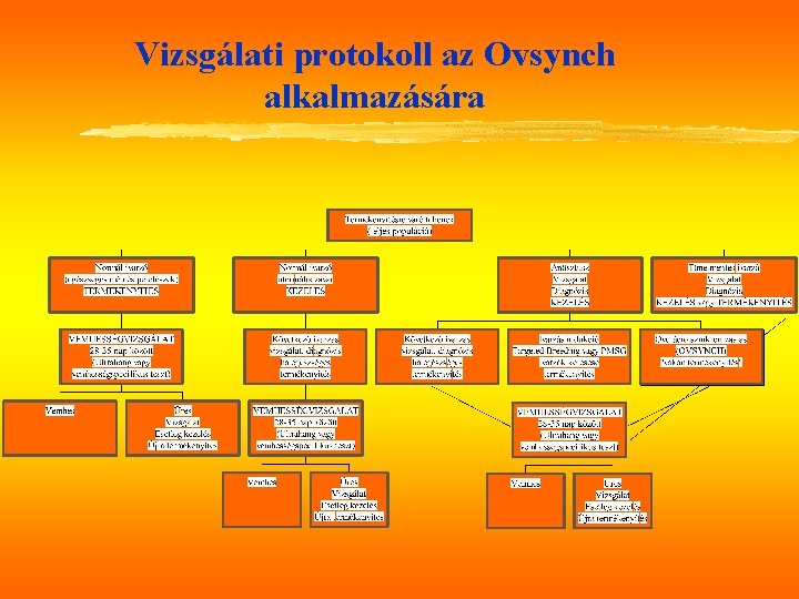 Vizsgálati protokoll az Ovsynch alkalmazására 